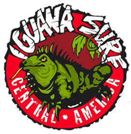 iguanasurf