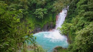 Rio Celeste River at Tenorio Volcano National Park